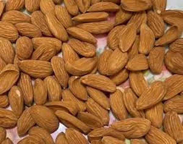 تصویر 4 از خرید و فروش مغز بادام تلخ با شرایط فوق العاده